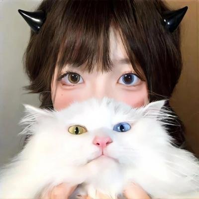 痞子猫